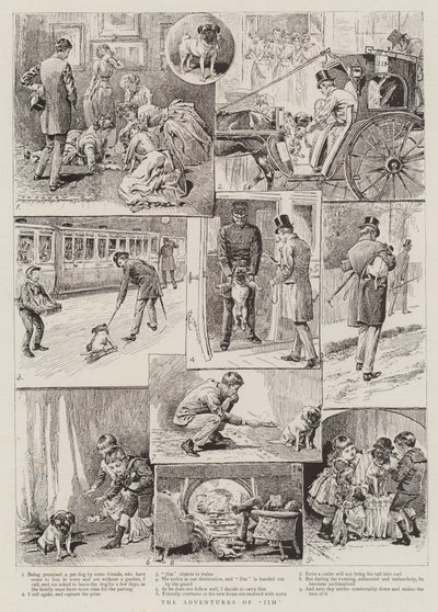 De Avonturen van Jim door Alfred Chantrey Corbould